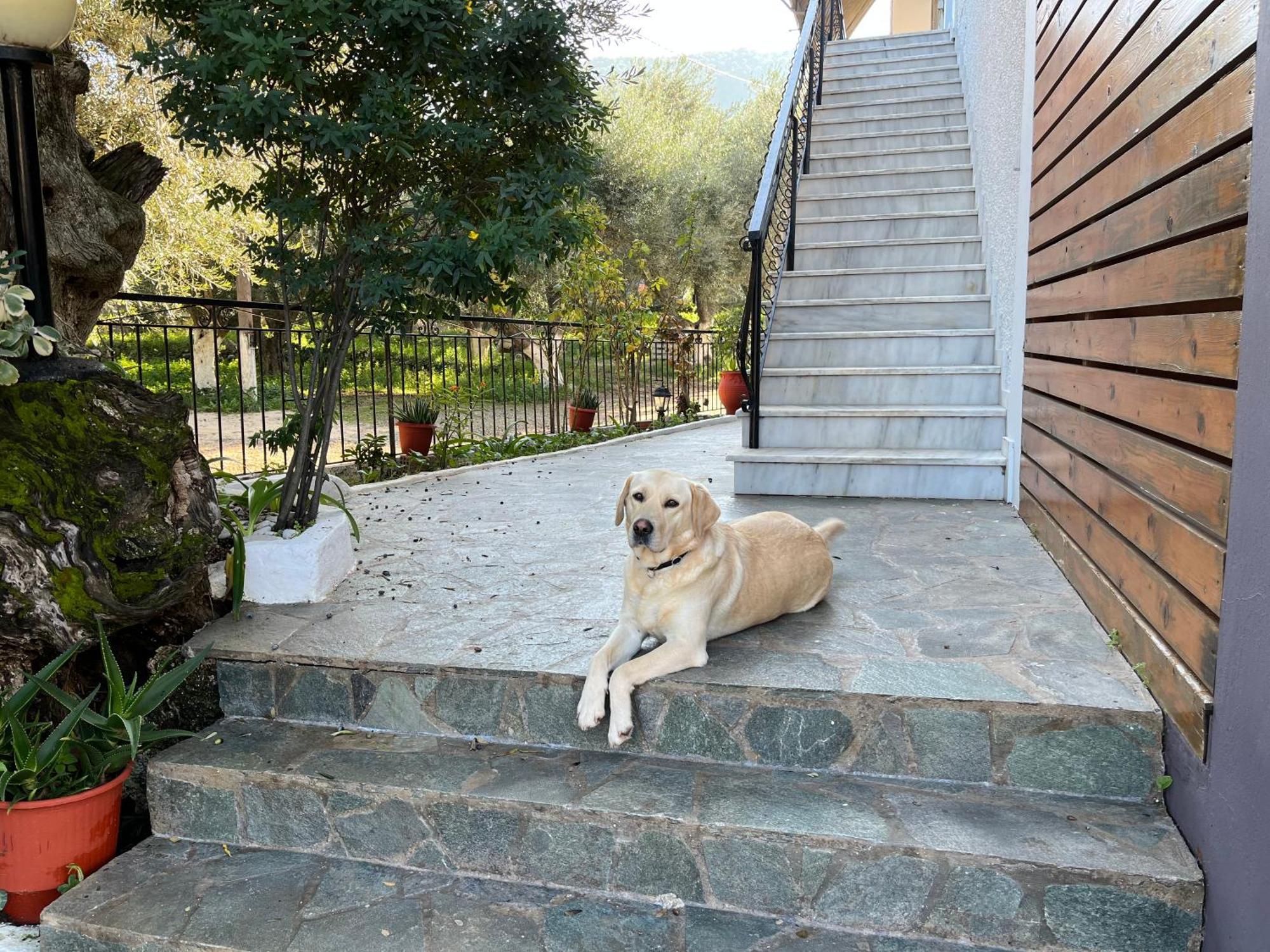 Nikos Studios Keri Exterior foto